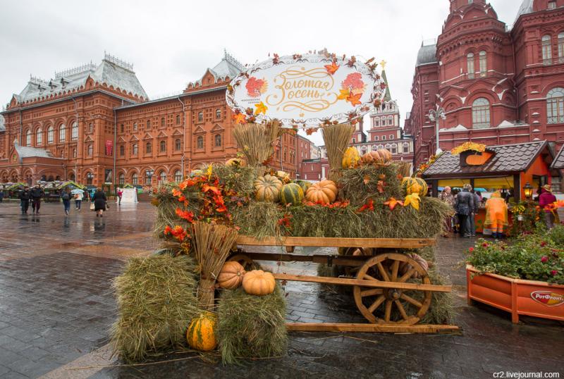 Тур Московский экспромт. Проживание в SNGL GetinRussia - цены на OZON Услуги