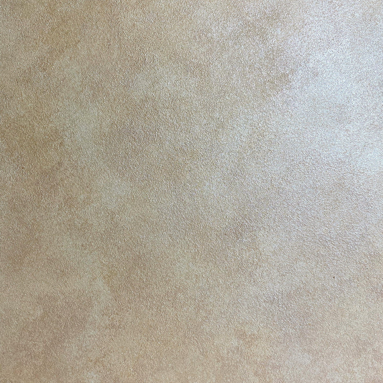 НОВИНКА В АССОРТИМЕНТЕ - ШПАТЕЛЬНЫЕ КРАСКИ!!!