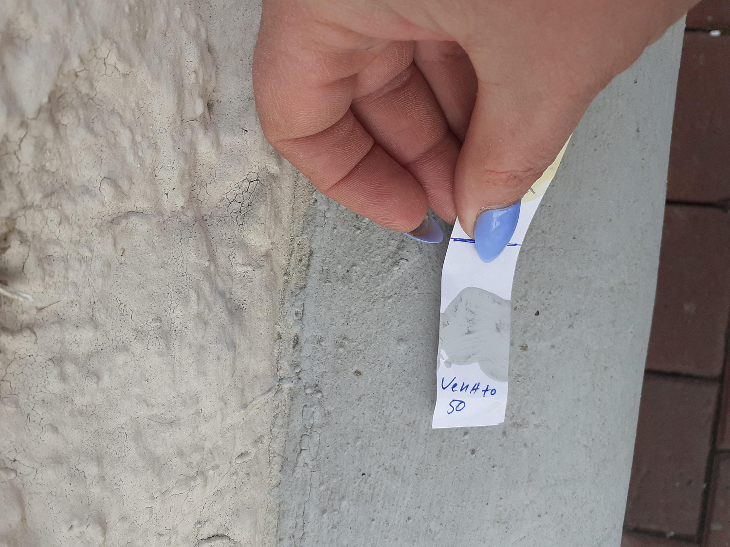 Колледж им. Ползунова